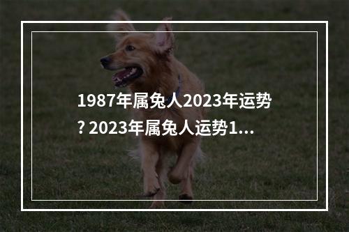 1987年属兔人2023年运势? 2023年属兔人运势1987