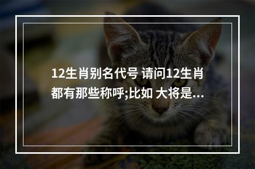 12生肖别名代号 请问12生肖都有那些称呼;比如 大将是谁 才人又是谁 请各位朋友帮忙解答...