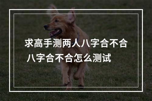 求高手测两人八字合不合 八字合不合怎么测试