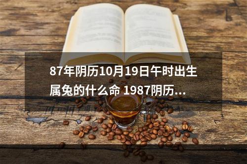 87年阴历10月19日午时出生属兔的什么命 1987阴历10月属兔的是什么命