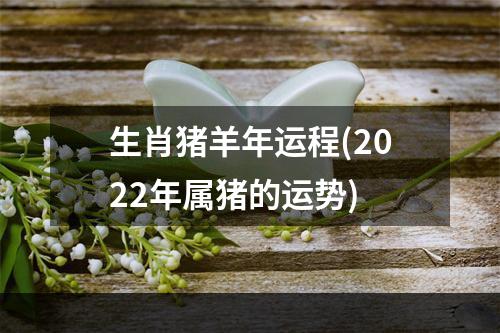 生肖猪羊年运程(2022年属猪的运势)