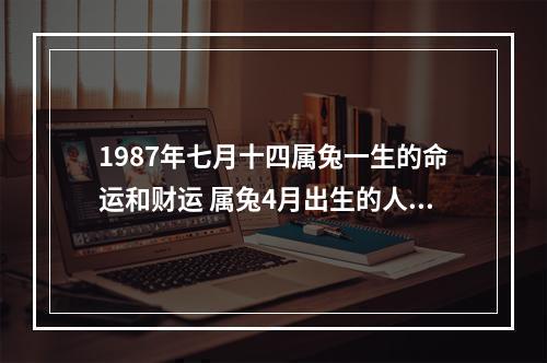 1987年七月十四属兔一生的命运和财运 属兔4月出生的人命运