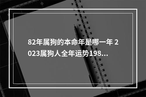 82年属狗的本命年是哪一年 2023属狗人全年运势1982每月运势