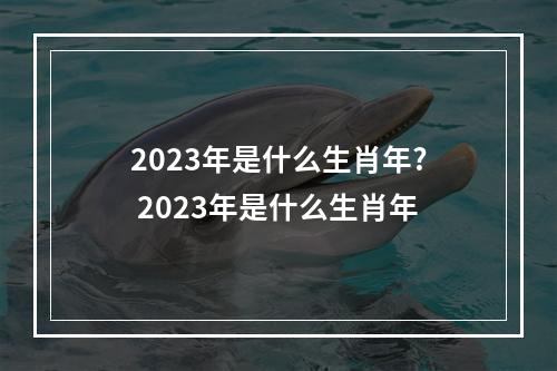 2023年是什么生肖年? 2023年是什么生肖年