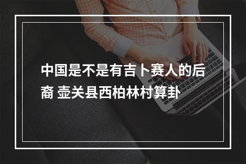 中国是不是有吉卜赛人的后裔 壶关县西柏林村算卦