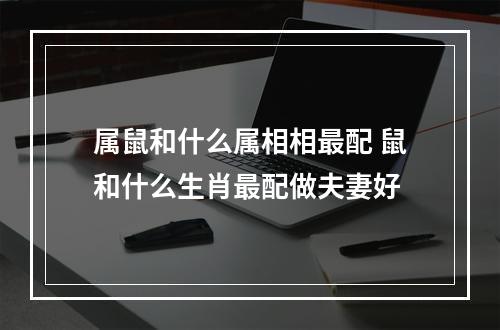 属鼠和什么属相相最配 鼠和什么生肖最配做夫妻好