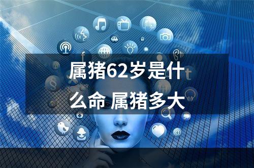 属猪62岁是什么命 属猪多大
