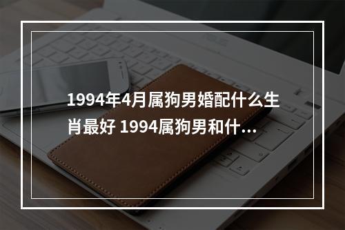 1994年4月属狗男婚配什么生肖最好 1994属狗男和什么属相最配?