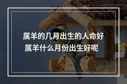 属羊的几月出生的人命好 属羊什么月份出生好呢