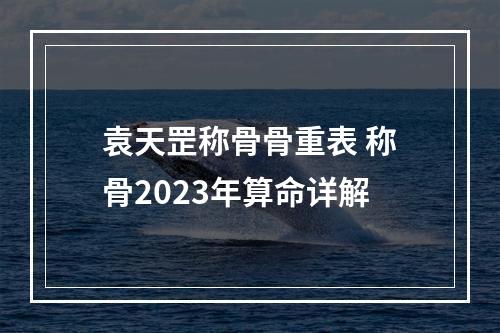 袁天罡称骨骨重表 称骨2023年算命详解