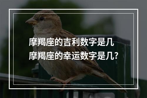 摩羯座的吉利数字是几 摩羯座的幸运数字是几?