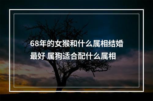 68年的女猴和什么属相结婚最好 属狗适合配什么属相