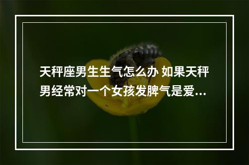 天秤座男生生气怎么办 如果天秤男经常对一个女孩发脾气是爱你表现吗?