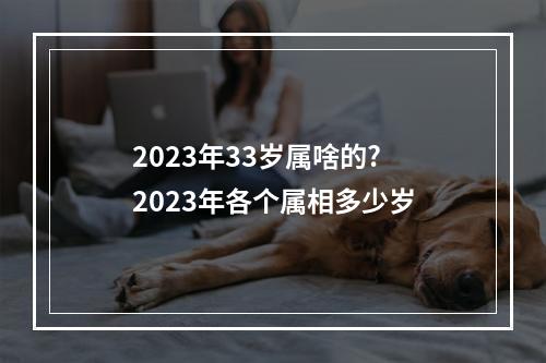 2023年33岁属啥的? 2023年各个属相多少岁