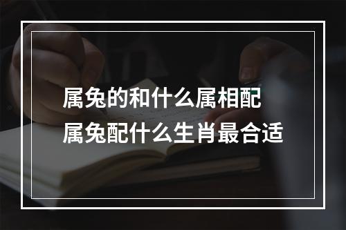 属兔的和什么属相配 属兔配什么生肖最合适