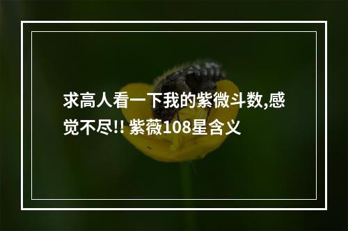 求高人看一下我的紫微斗数,感觉不尽!! 紫薇108星含义