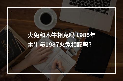 火兔和木牛相克吗 1985年木牛与1987火兔相配吗?