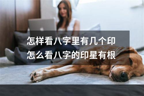 怎样看八字里有几个印 怎么看八字的印星有根