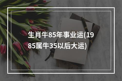 生肖牛85年事业运(1985属牛35以后大运)