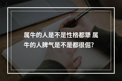 属牛的人是不是性格都犟 属牛的人脾气是不是都很倔?