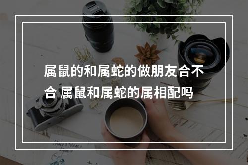 属鼠的和属蛇的做朋友合不合 属鼠和属蛇的属相配吗