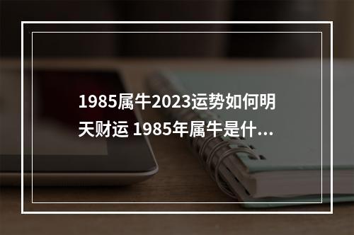 1985属牛2023运势如何明天财运 1985年属牛是什么命
