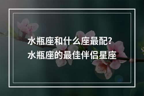 水瓶座和什么座最配? 水瓶座的最佳伴侣星座