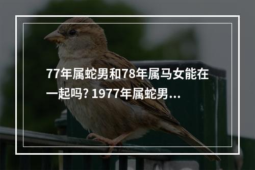 77年属蛇男和78年属马女能在一起吗? 1977年属蛇男和1978年属马女婚姻一生如何