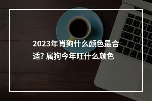 2023年肖狗什么颜色最合适? 属狗今年旺什么颜色