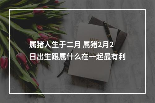 属猪人生于二月 属猪2月2日出生跟属什么在一起最有利
