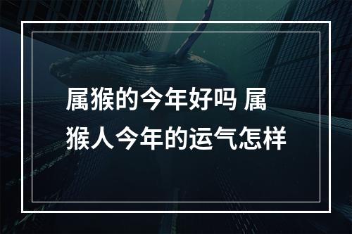 属猴的今年好吗 属猴人今年的运气怎样