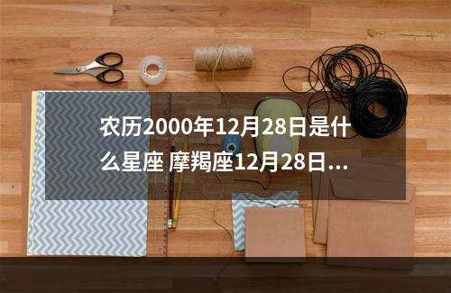 农历2000年12月28日是什么星座 摩羯座12月28日爱情
