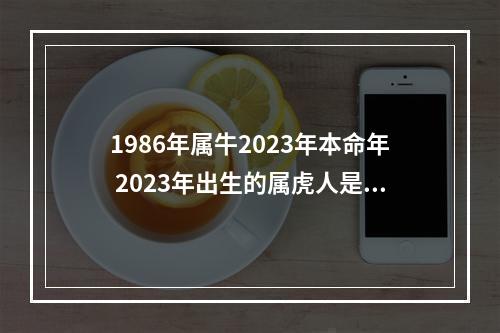 1986年属牛2023年本命年 2023年出生的属虎人是火命还是木命2023年出生属虎人本命年运势