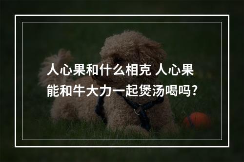 人心果和什么相克 人心果能和牛大力一起煲汤喝吗?