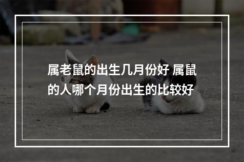 属老鼠的出生几月份好 属鼠的人哪个月份出生的比较好