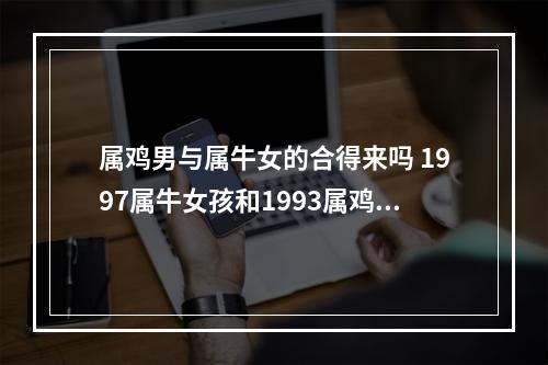 属鸡男与属牛女的合得来吗 1997属牛女孩和1993属鸡在一起会幸福吗?合婚吗?