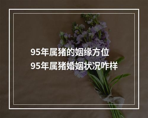 95年属猪的姻缘方位 95年属猪婚姻状况咋样