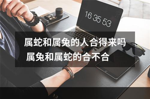 属蛇和属兔的人合得来吗 属兔和属蛇的合不合