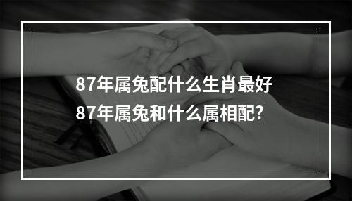 87年属兔配什么生肖最好 87年属兔和什么属相配?