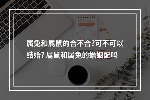 属兔和属鼠的合不合?可不可以结婚? 属鼠和属兔的婚姻配吗