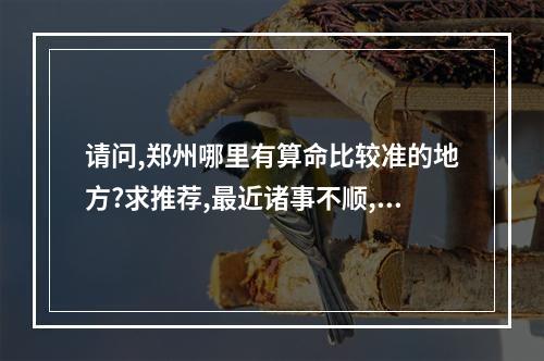 请问,郑州哪里有算命比较准的地方?求推荐,最近诸事不顺,想去算算_百度... 郑州哪儿算命比较准