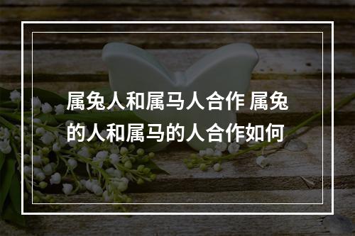属兔人和属马人合作 属兔的人和属马的人合作如何