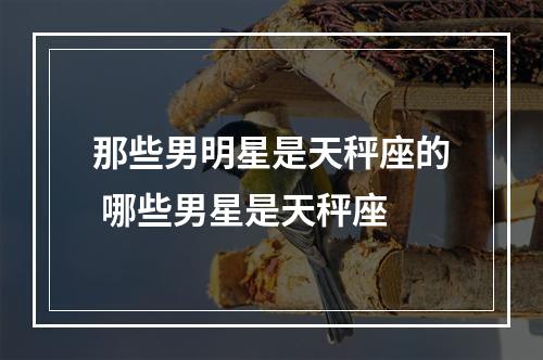 那些男明星是天秤座的 哪些男星是天秤座