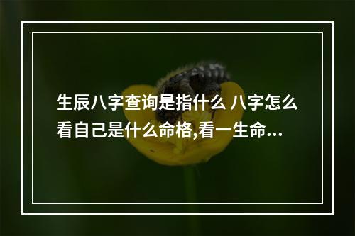 生辰八字查询是指什么 八字怎么看自己是什么命格,看一生命运