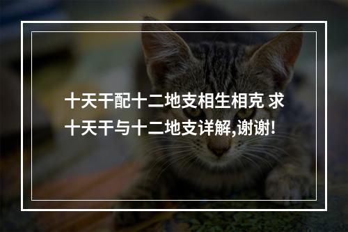 十天干配十二地支相生相克 求十天干与十二地支详解,谢谢!