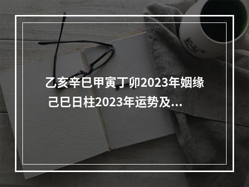 乙亥辛巳甲寅丁卯2023年姻缘 己巳日柱2023年运势及运程