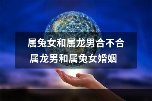 属兔女和属龙男合不合 属龙男和属兔女婚姻