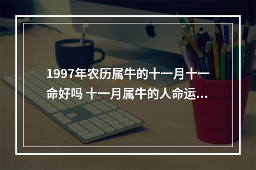 1997年农历属牛的十一月十一命好吗 十一月属牛的人命运怎么样