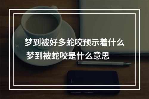 梦到被好多蛇咬预示着什么 梦到被蛇咬是什么意思