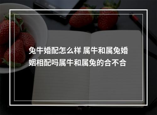 兔牛婚配怎么样 属牛和属兔婚姻相配吗属牛和属兔的合不合